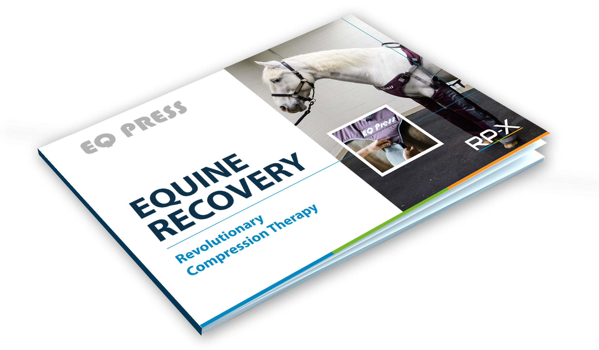 Buyers Guide EQPress RPX